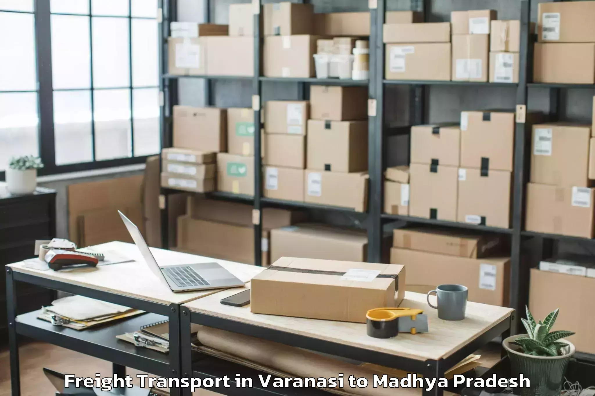 Expert Varanasi to Sage University Indore Freight Transport